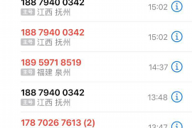 柳南债务清欠服务